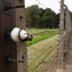 El mejor aislante natural para tu vivienda o negocio